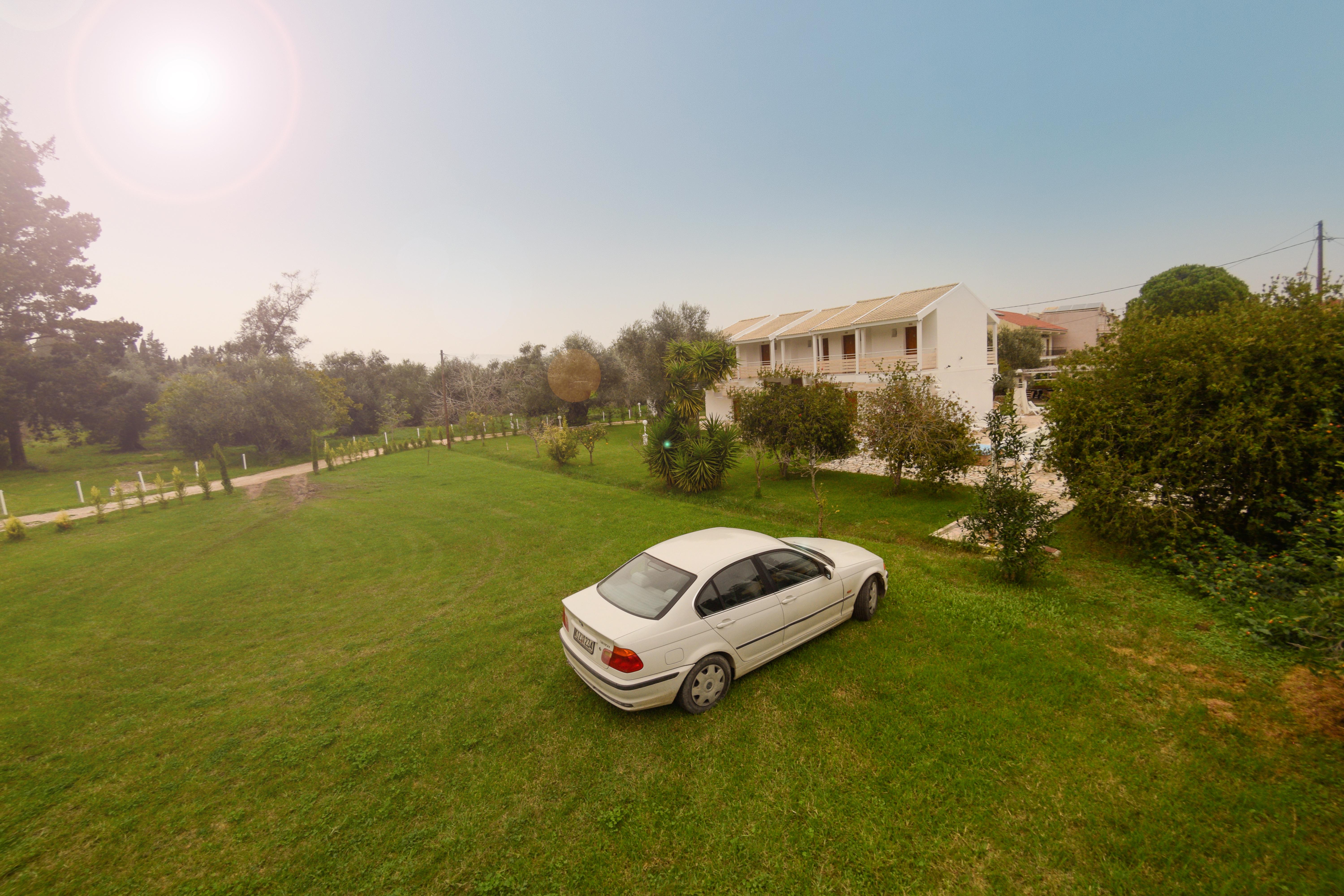 Olive Grove * Kavos