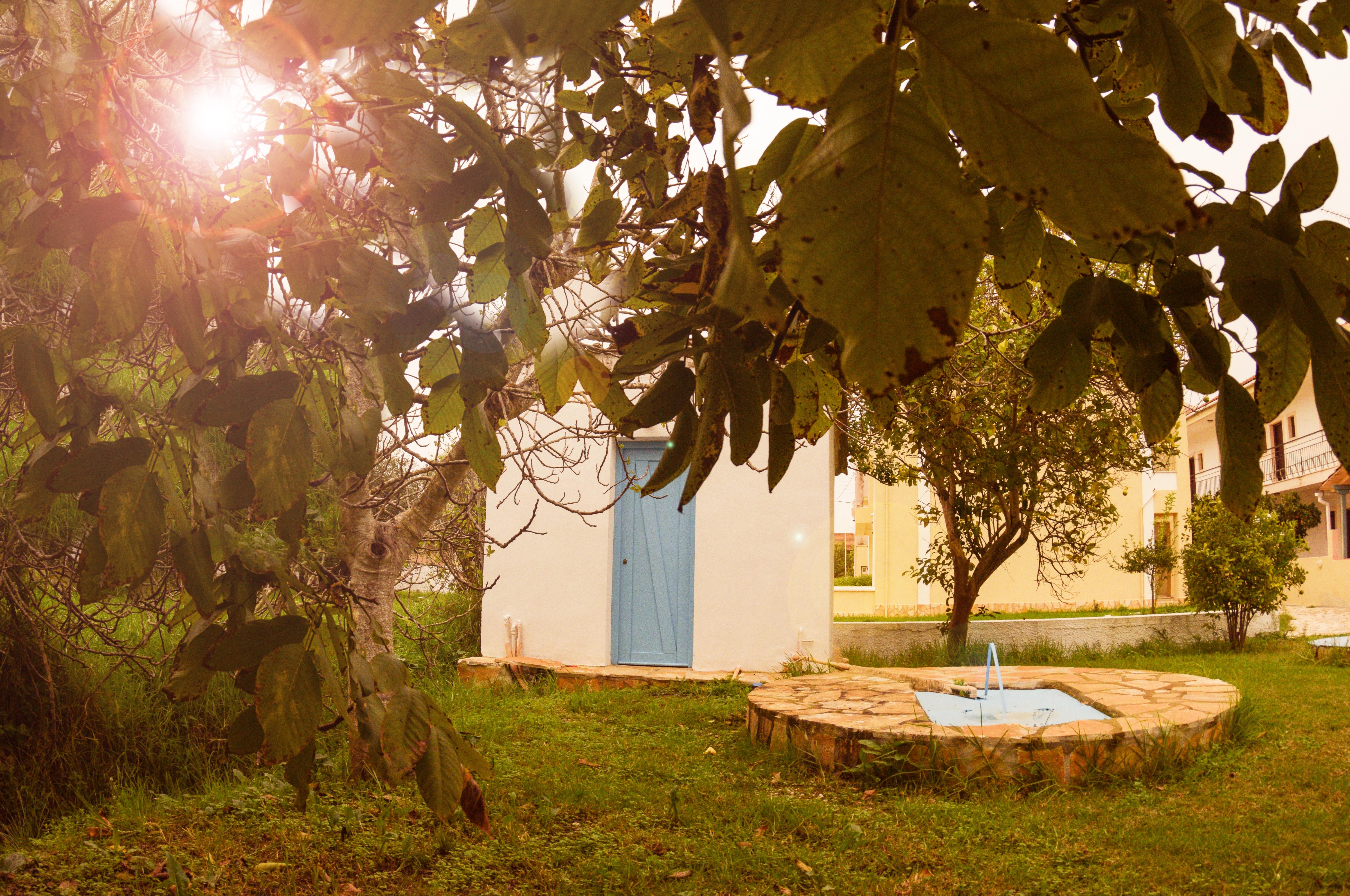 Apartment Olive Grove Kavos