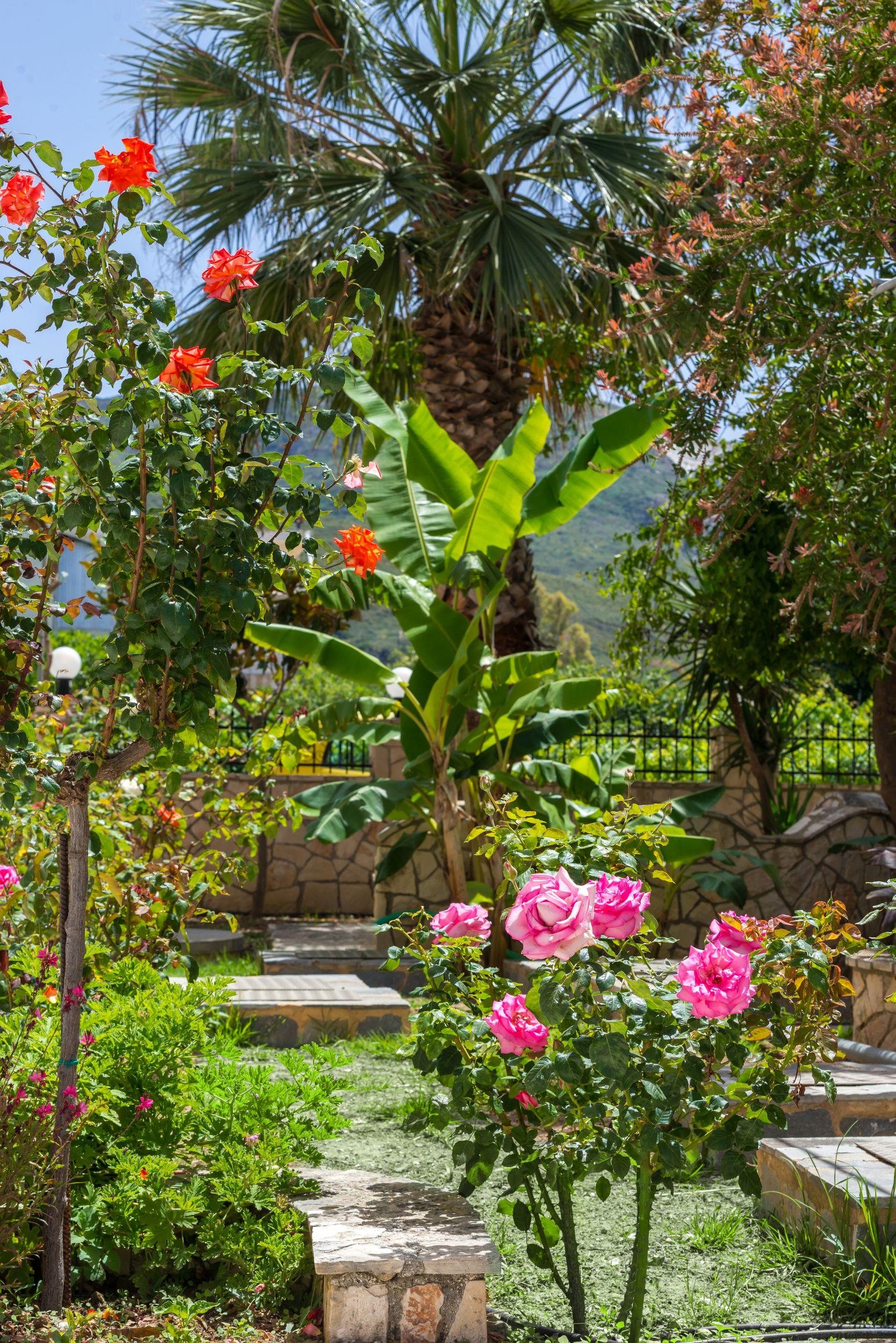Athina Aparthotel