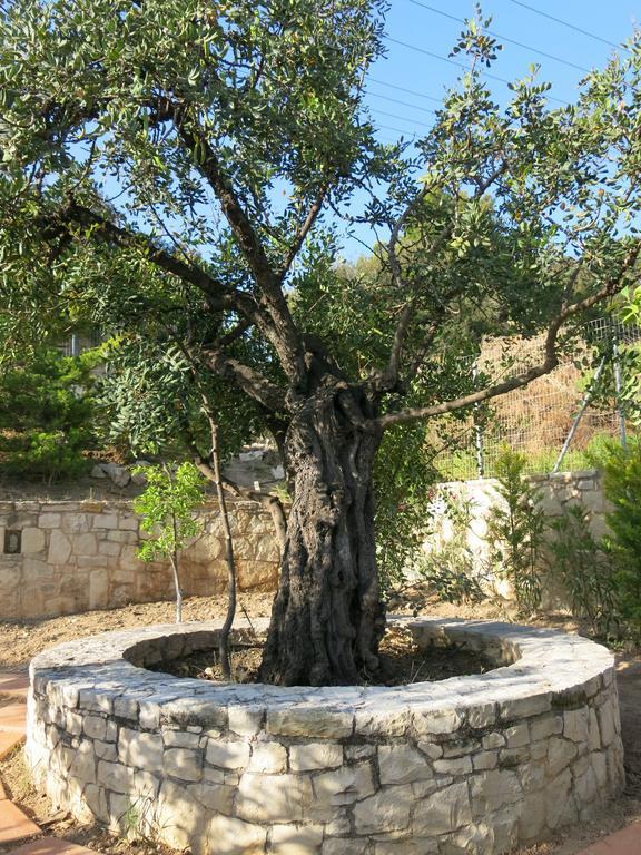 Alma Hersonissos (Crete)