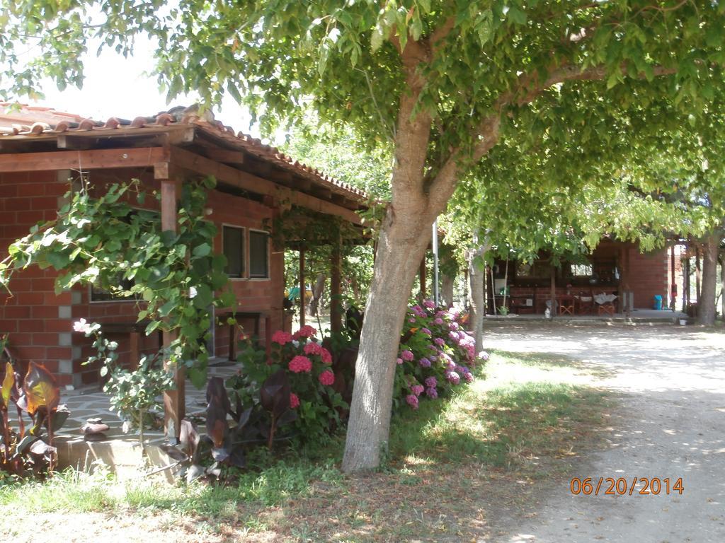 Perseus Apartment Skala Rachoni (Thasos)
