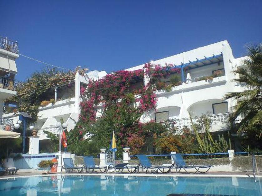 Ninetta's 3*