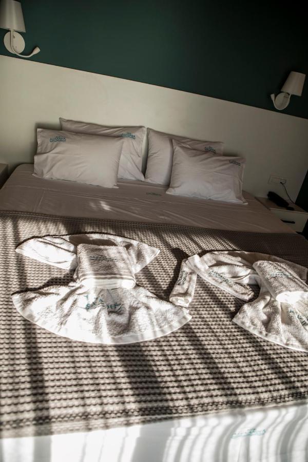 Alexander Hotel 3*