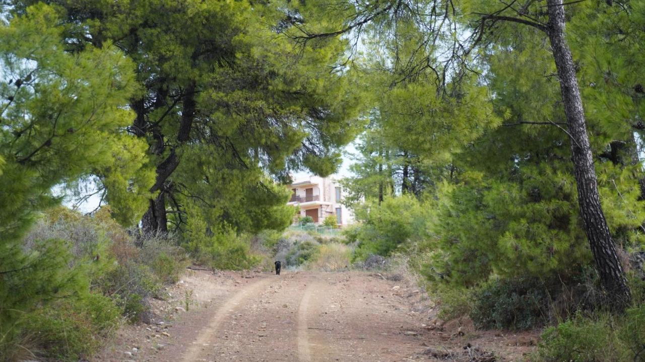 Loutra 3p With Sea View * Agia Paraskevi (Kassandra)