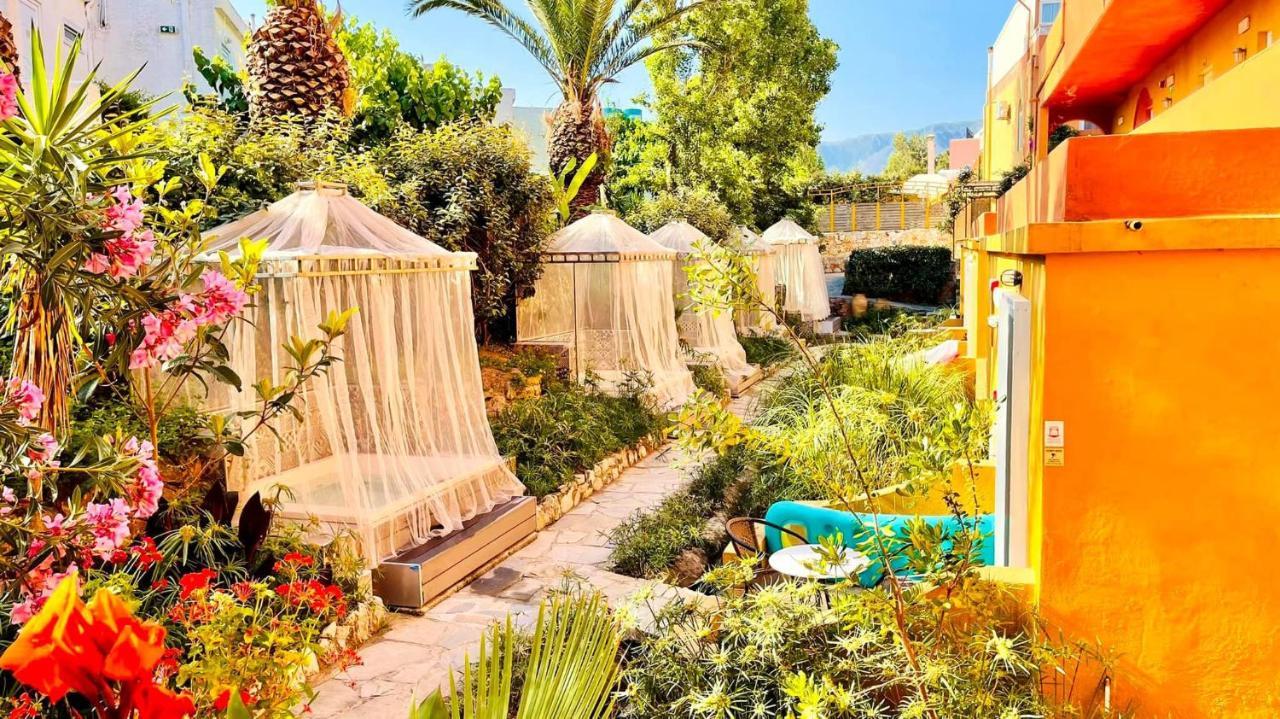 Hotel Orpheas (adults Only) Paralia Kourna