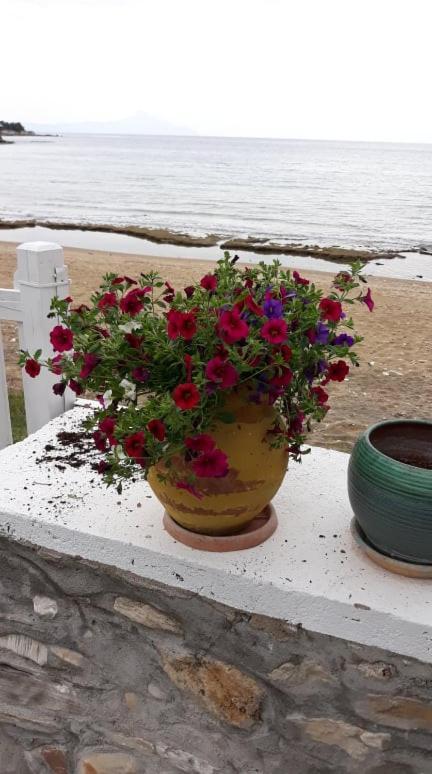 Holiday home House Kokkalas On The