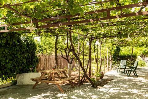 Spacious Farmhouse With Big Yard And Fireplace Holiday home Evangelistria (Corinthia)