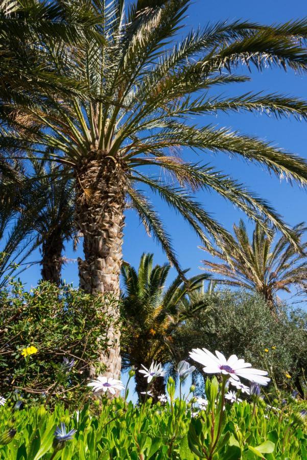 Carissa House In Crete