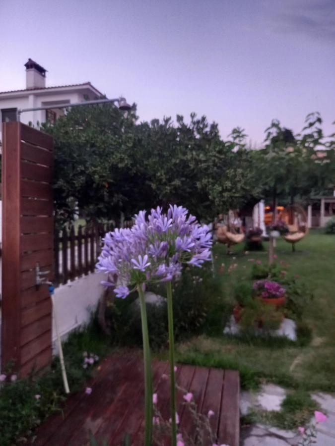 Traditional Arsanas Apartment Nikiti (Sithonia)