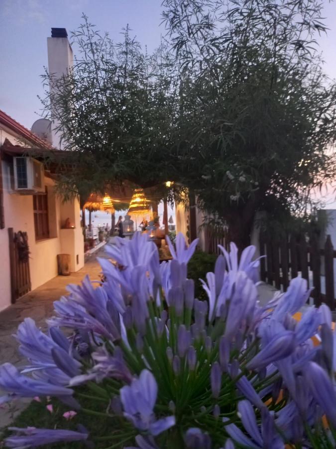 Traditional Arsanas Apartment