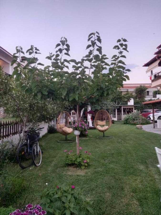Traditional Arsanas *