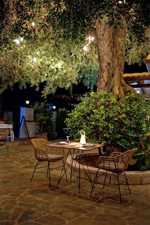 Hotel Alfa 4*