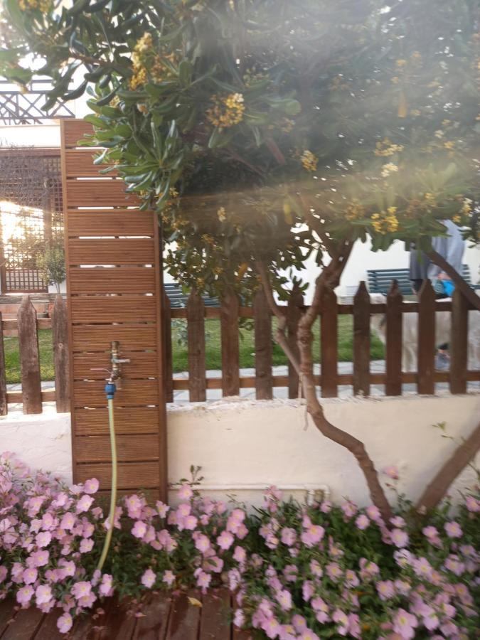Traditional Arsanas Apartment Nikiti (Sithonia)