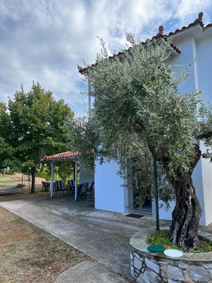Elios Summer House *