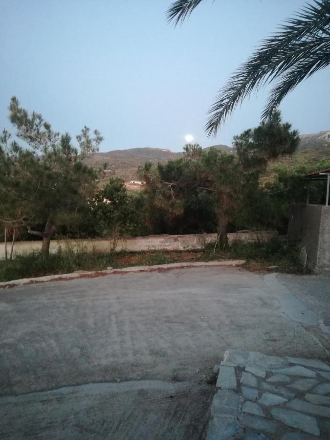 Panorama View Apartment