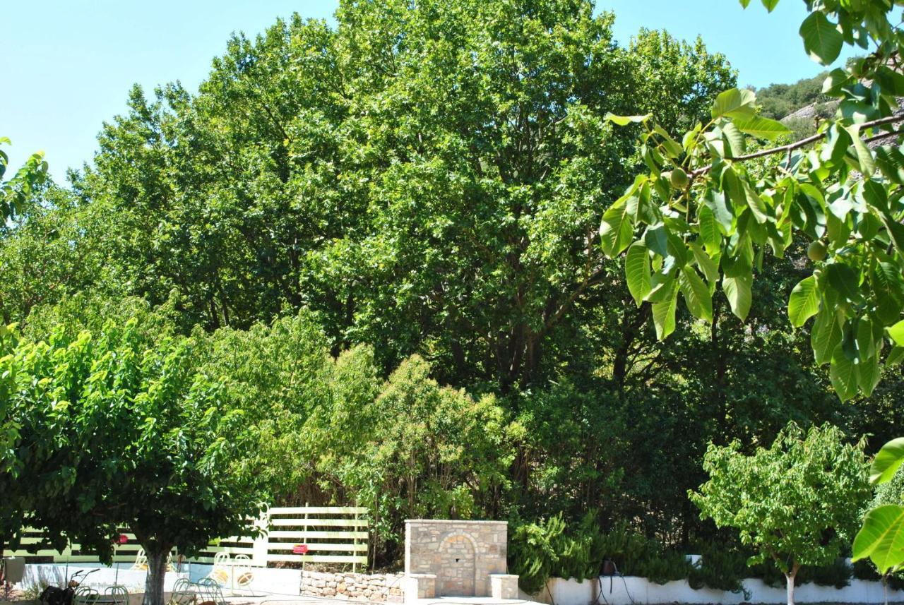 Eleftherios * Kalavryta