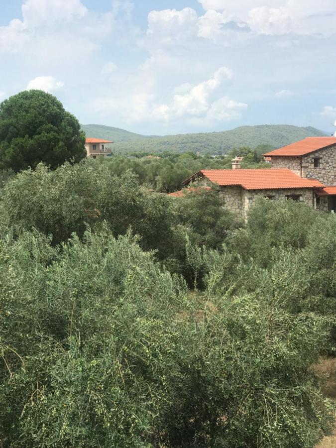 Olivegrove House * Vourvourou