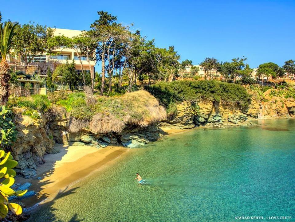 Palm Agia Pelagia (Crete)