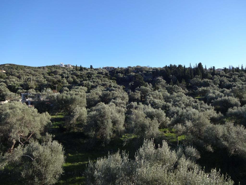 Aparthotel Pansion Filoxenia & 3*