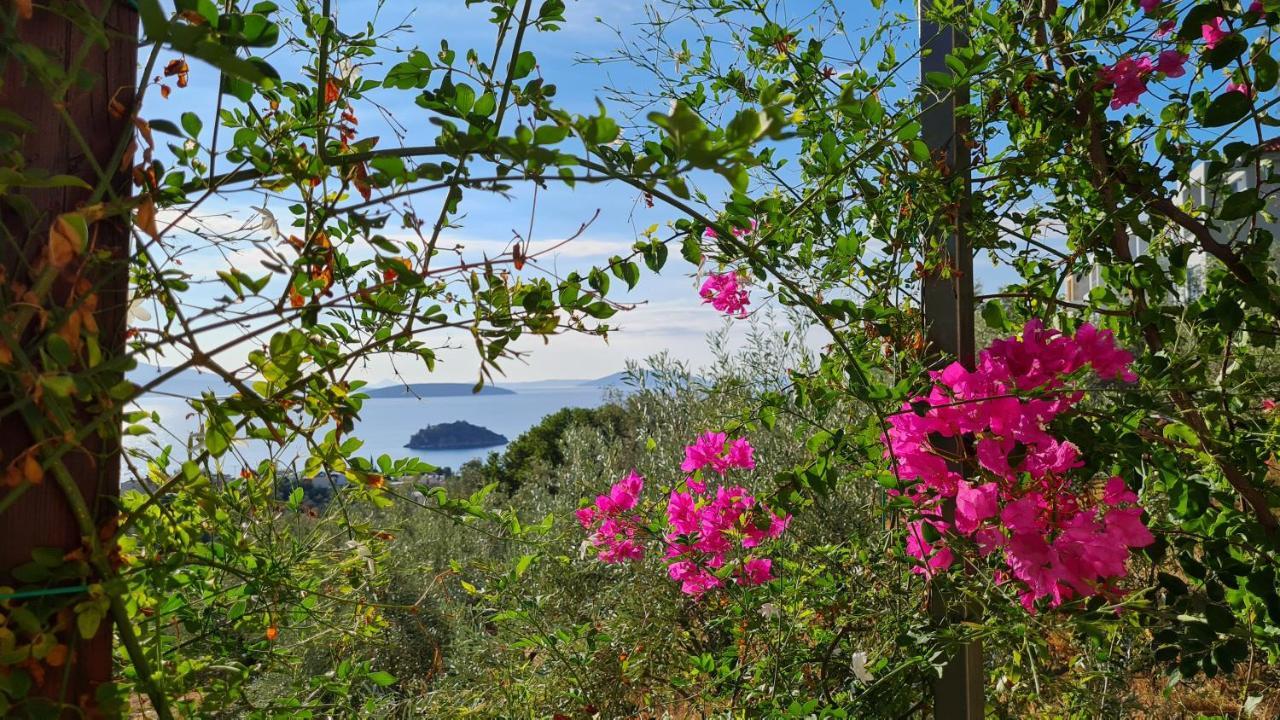 Stone House In Olive Grove Holiday home Tolo