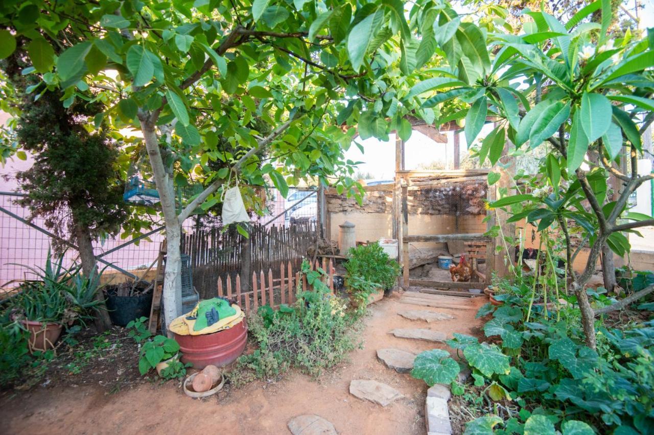 Cretan Roots Apartment *