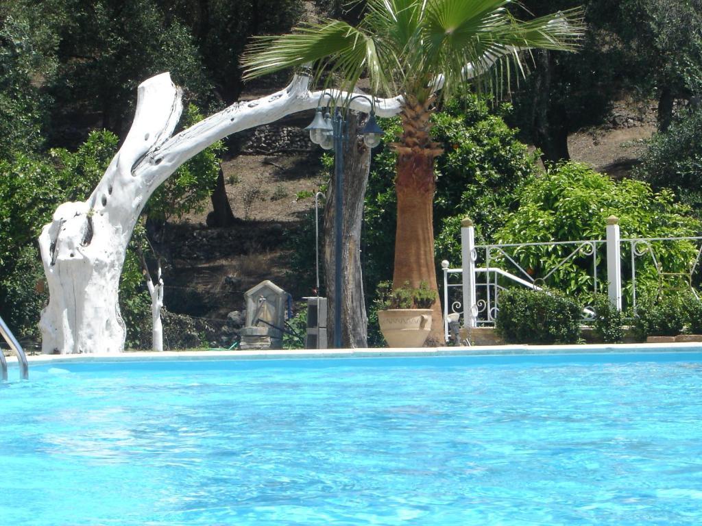 Golden Sun Parga