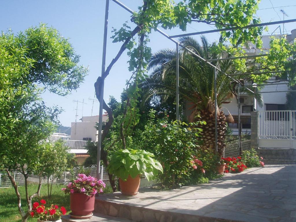 Apartment Rania House *