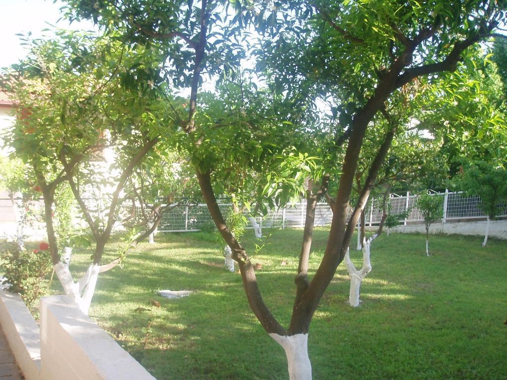 Apartment Rania House Neos Marmaras