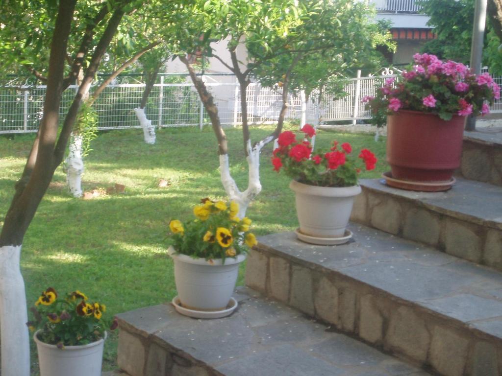 Apartment Rania House *