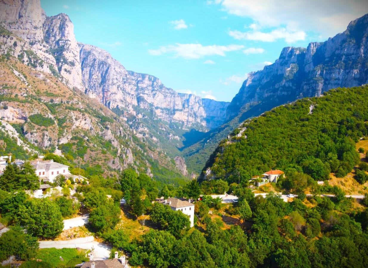 Hotel Vikos View Aristi