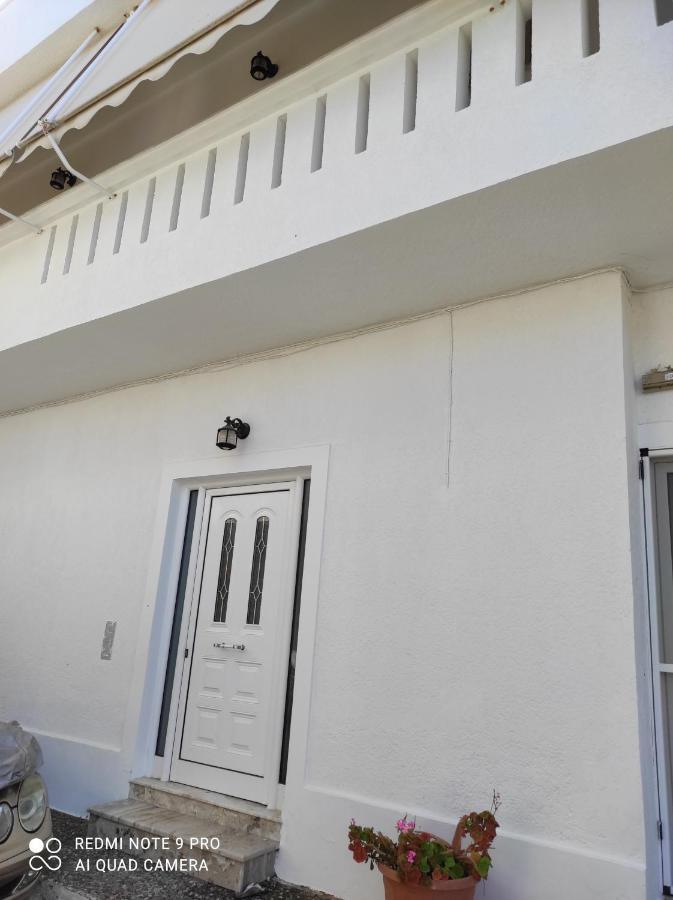 Paradise Studios