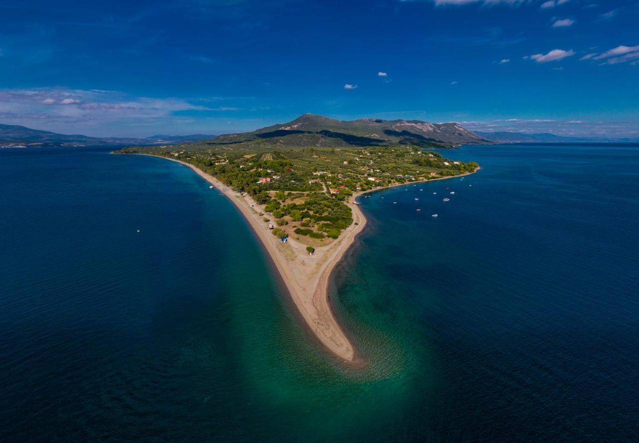 Penelope -πηνελόπη Loutra Edipsou (Evia)