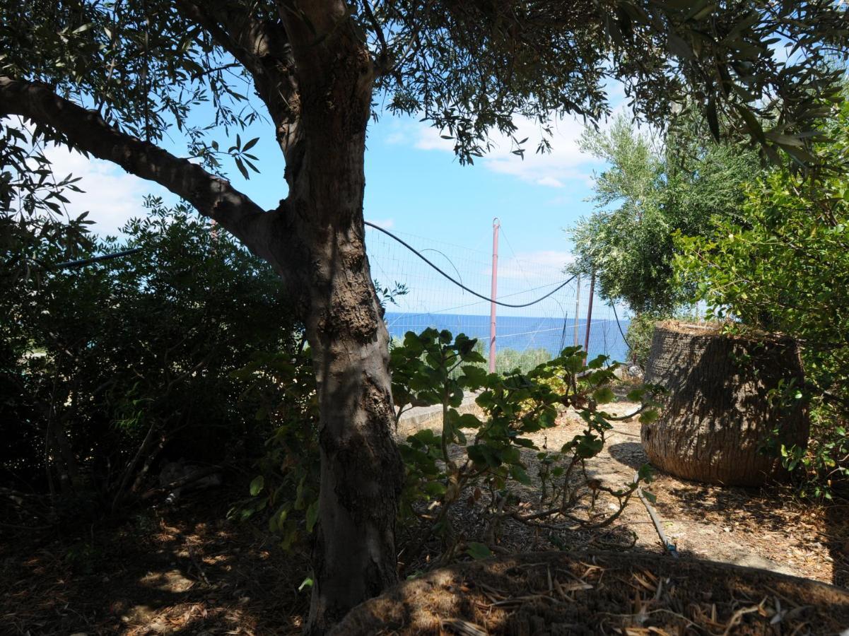 Apartment Aris House - Cretan Hospitality Agios Nikolaos (Crete)