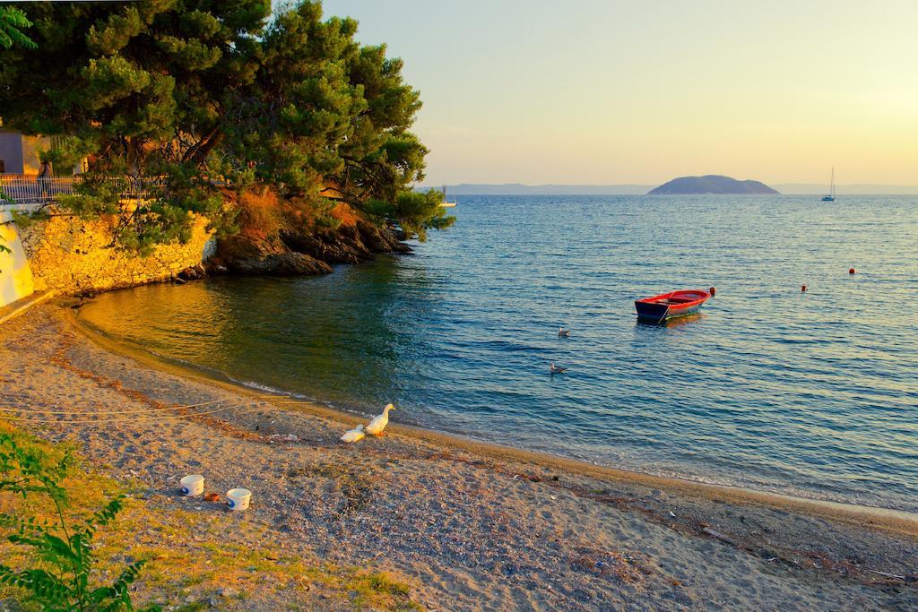 Guest house House Roula