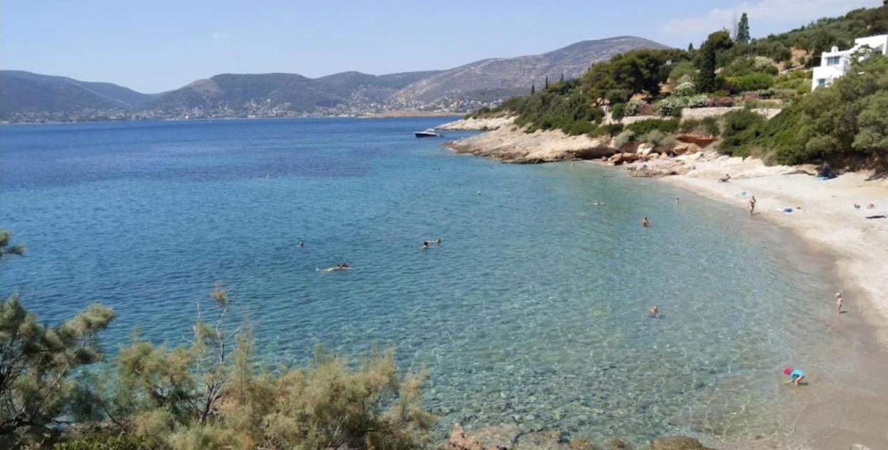 Porto Sea View House - 15min From Athens Airport - Ac - Wifi - Parking Holiday home *
