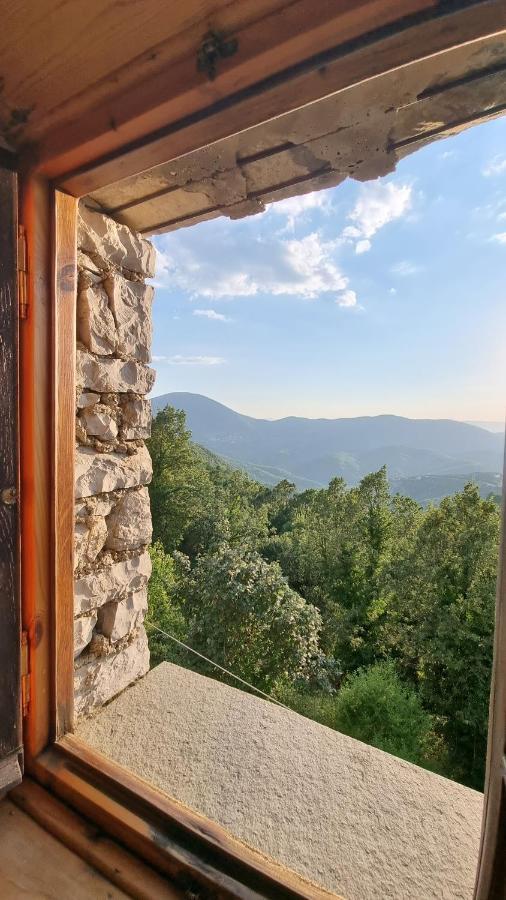 Hotel Vikos View Aristi
