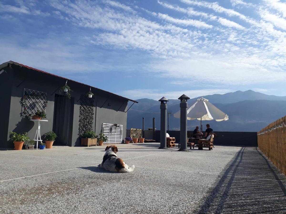 Homestay Urban Yoga House & Retreat