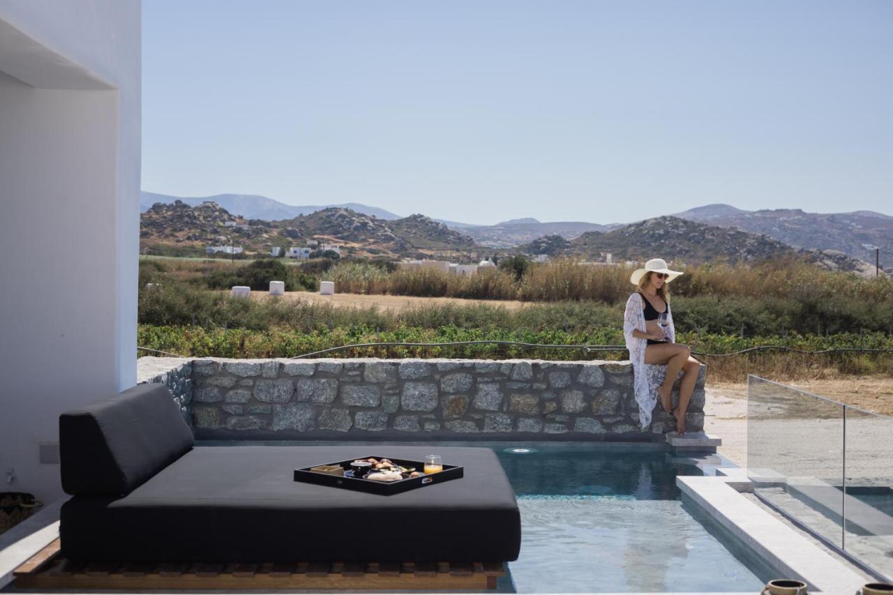 Milestones Naxos Hotel Maragkas