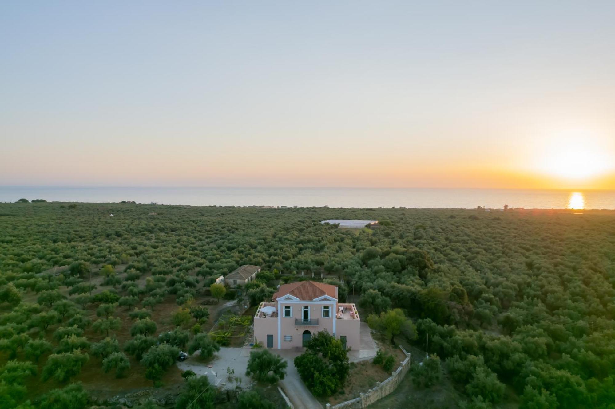 Ktima Viro *