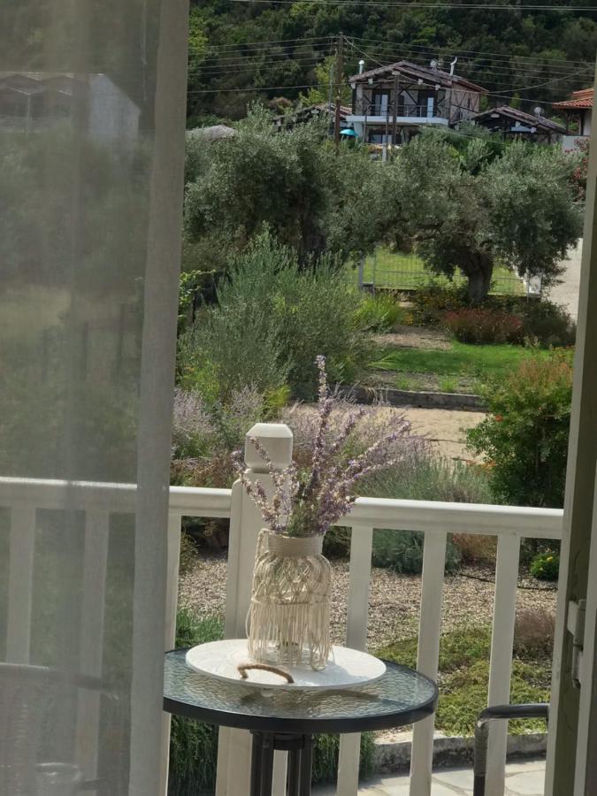 Olivegrove House Apartment
