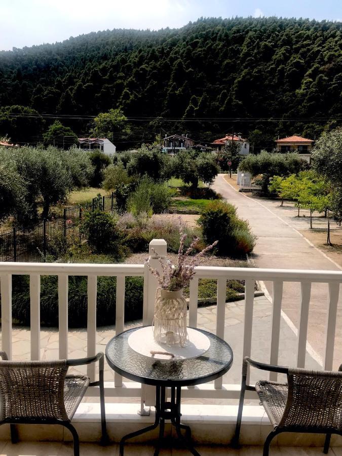 Olivegrove House Apartment