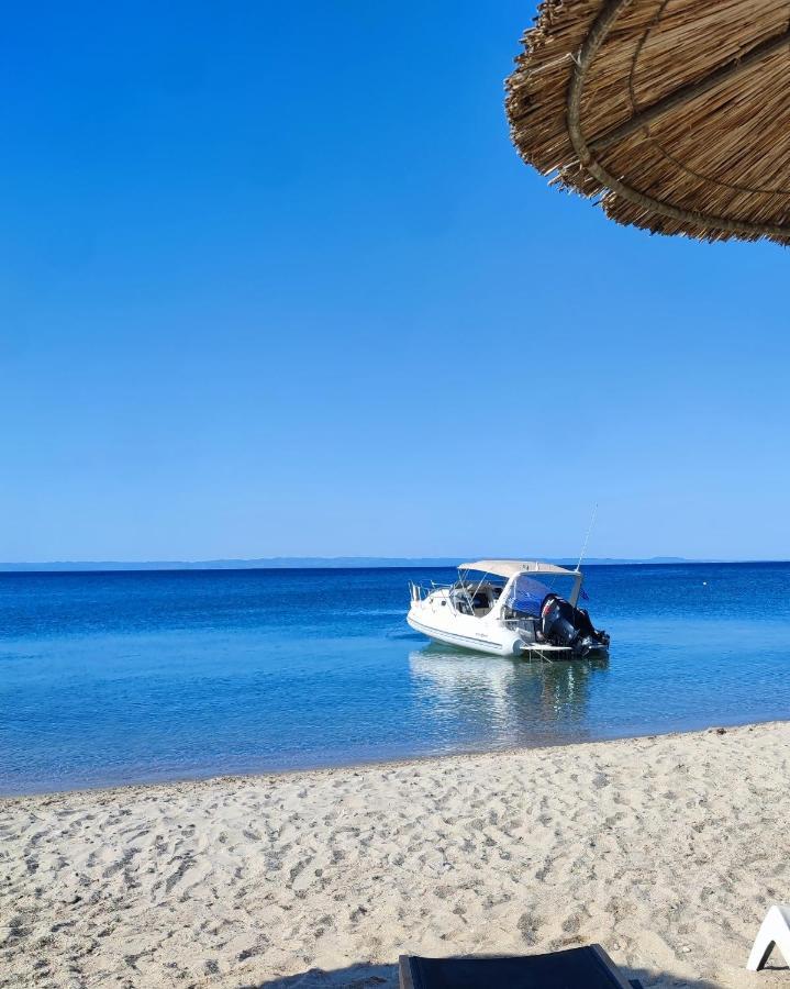 Mina's House Beachfront * Nikiti (Sithonia)