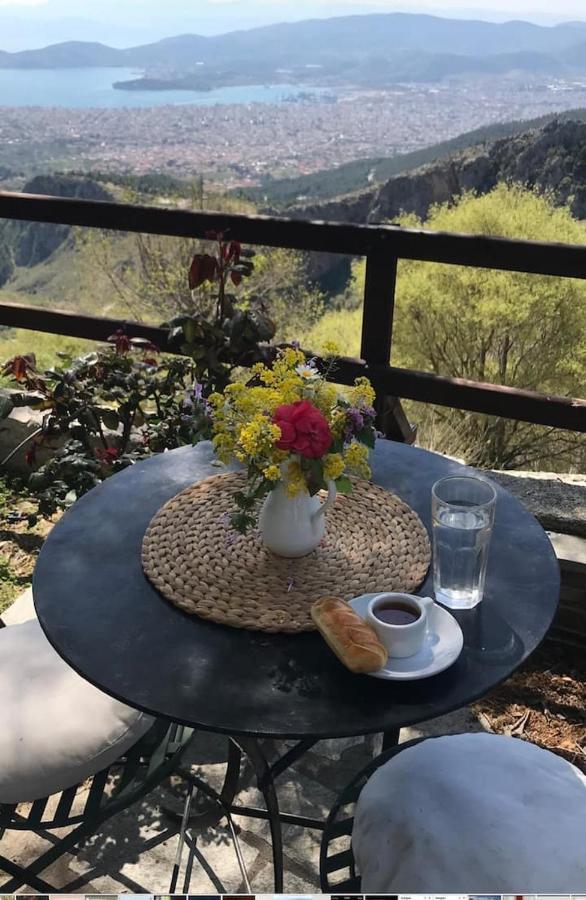 Guest house Archontiko Stafylopati 3*