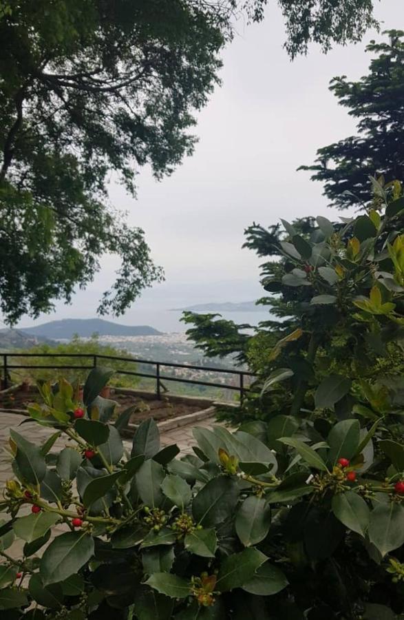 Archontiko Stafylopati Guest house 3*