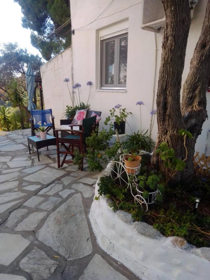 Apartment Anemos