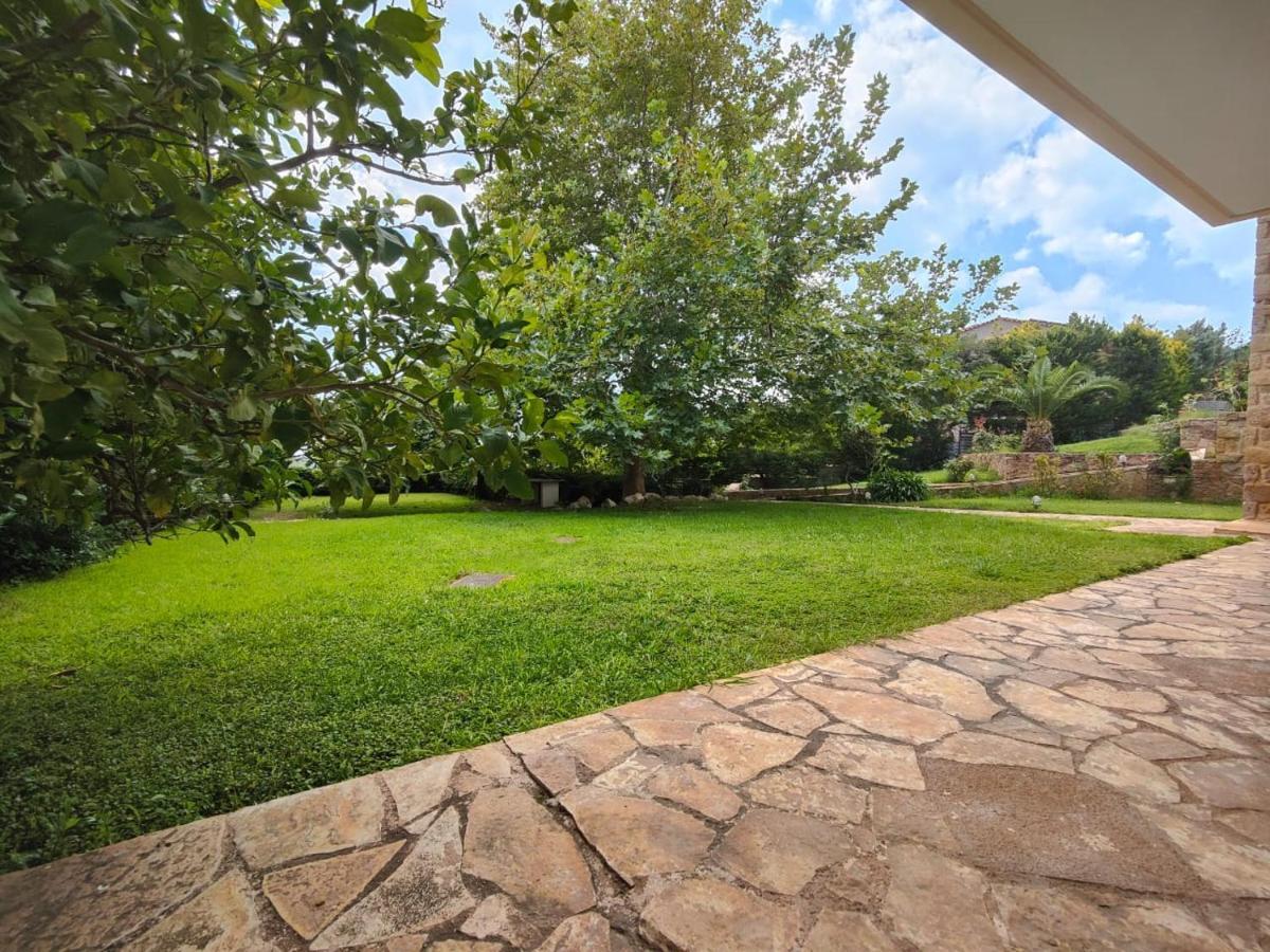 Apartment Platanus Gardenhouse *