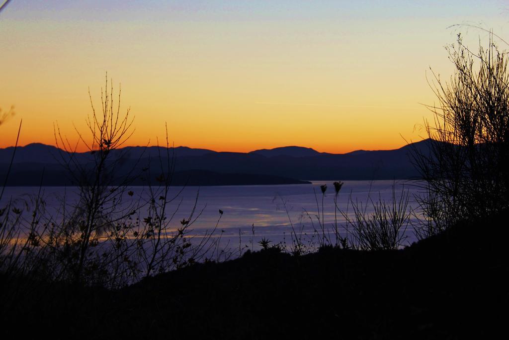 Vateri Guest house *