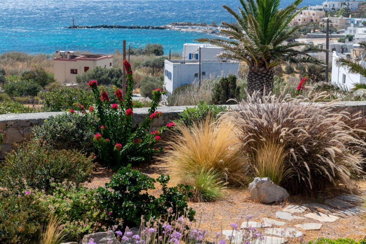 Aelion Villa