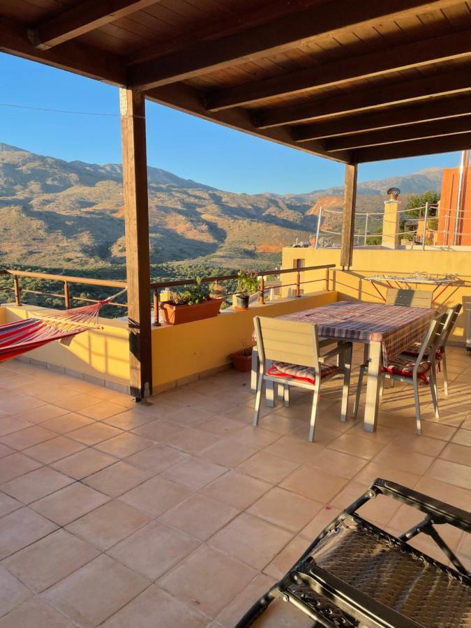 Plum Tree With Panoramic Views