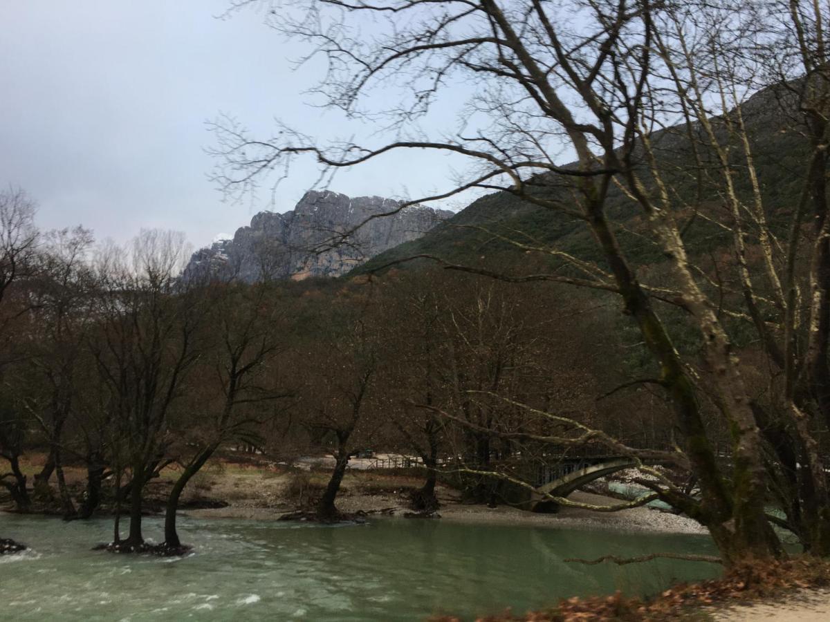 Katikia Zagori * Vitsa